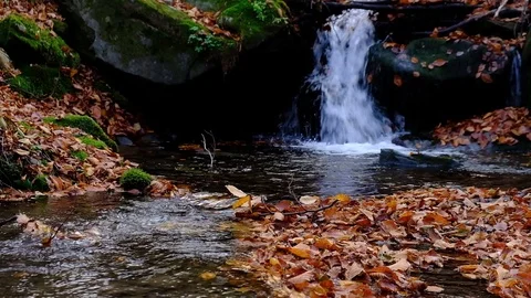 Closeup video of a tiny creek with small amount of pure mountain running wate Stock Footage 121198776