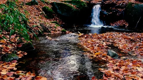 Closeup video of a tiny creek with small amount of pure mountain running wate Stock Footage 121414909