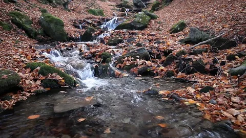 Closeup video of a tiny creek with small amount of mountain running water Stock Footage 129363951
