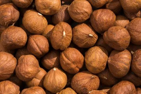 Closeup view and pattern of some Hazelnut 스톡 사진
