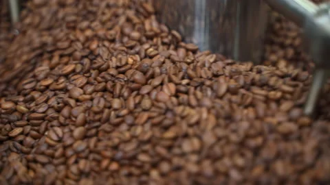 Closeup view of Arabica beans roasting and drying inside working equipment in Stock Footage 163817449