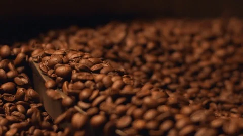Closeup view of aromatic brown coffee beans rotating in special cooler after Stock Footage 91549289