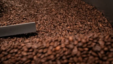 Closeup view of aromatic brown coffee beans rotating in cooler after roasting 库存影片 115876487