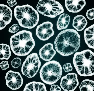 Closeup view of bacteria under microscope. Illustration Stock Illustration