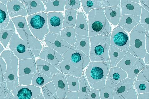 Closeup view of bacteria under microscope. Illustration Stock Illustration