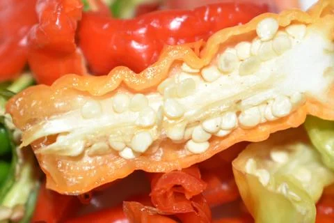Closeup view of beautiful red chilli. Stock Photos