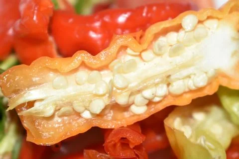 Closeup view of beautiful red chilli. Stock Photos