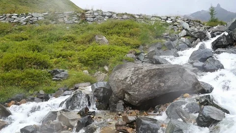 Closeup view to beautiful small mountain waterfall in the Austrian alps near the Stock Footage 89542959