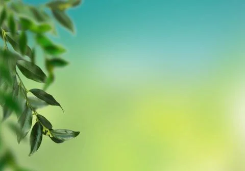 Closeup view of blurred greenery background with green leaf. Copy space for t Stock Photos