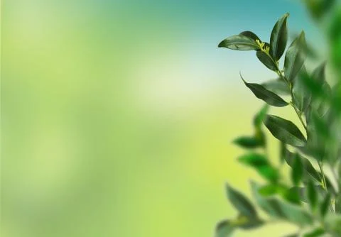 Closeup view of blurred greenery background with green leaf. Copy space for t Stock Photos