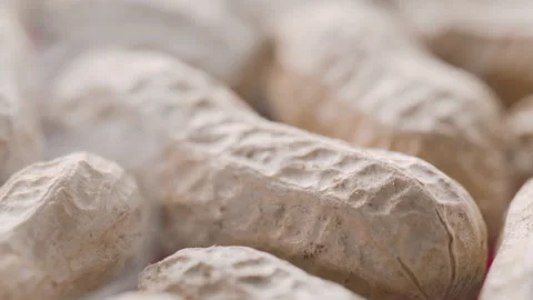 Closeup view of boiled fresh peanuts. Macro shot Stock Footage 311750703