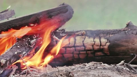 Closeup view of bonfire in camp Stock Footage 80713006