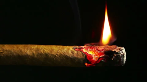 Closeup view of burning cigarette Video stock 35576002
