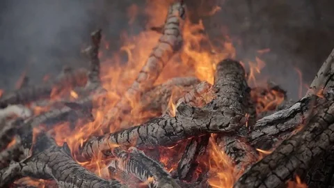 A closeup view of burning wood Stock Footage 73324873