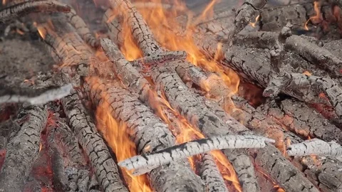 A closeup view of burning wood Stock Footage 73324879