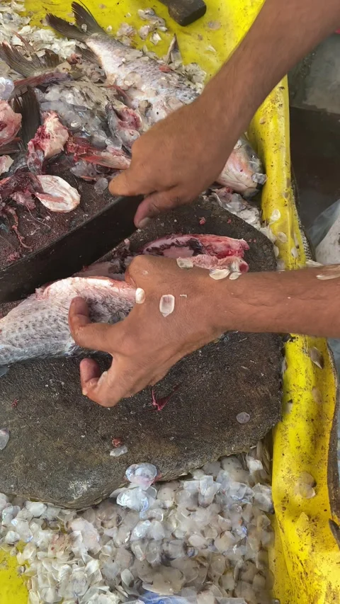 Closeup View of Butcher Preparing Fish Meat with Knife Stock Footage 287471619
