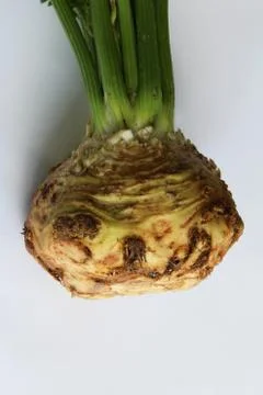 Closeup view of celeriac bulb root Stock Photos