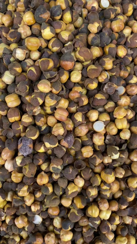 The Closeup View of Chickpeas Stock Footage 287470126