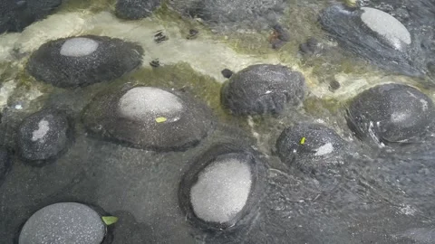 Closeup view of the clear water flowing with pebble stones. 動画素材 264765769