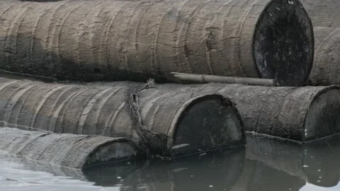Closeup view, cocowood log trunks pile of the logging wood industry Stock Footage 133445793