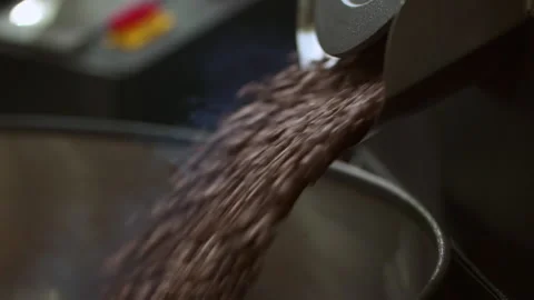 Closeup view of coffee beans pouring into automatic roasting equipment at plant Stock Footage 162223320