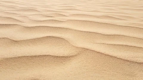 Closeup view of a desert with wind carriers grains of sand. Stock Footage 274130884