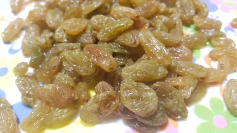 Closeup view of dried or dehydrated fresh green raisins Stock Photos