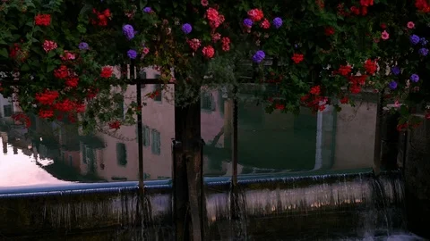 Closeup view of drop gate with beautiful flowers over it on Thiou river, Annecy Stock Footage 89716650