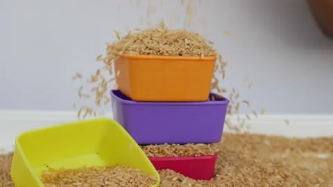 Closeup view of dropping brown rice over plastic bowls filled with rice Stock Footage 147689714