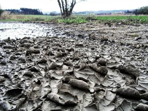 Closeup View on Dry Clay with Cracking Ground Stock Photos