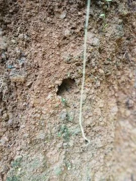Closeup view of Earth wall Foto stock
