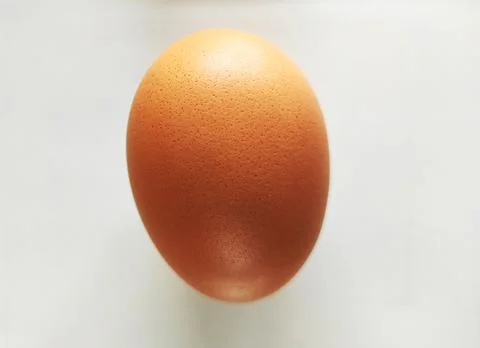 Closeup View of an Egg Stock Photos