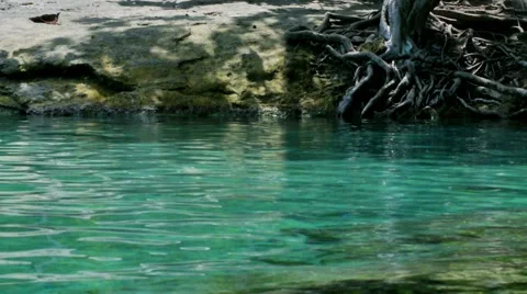 Closeup view to the Emerald pond Stock Footage 53202232