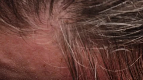 Closeup view of female gray hair roots highlighting natural aging process, .. Stock Footage 321833341