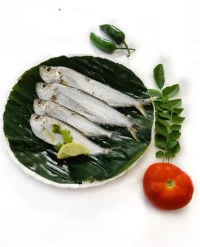 Closeup view of Fresh Malabar Thryssa Fish decorated with herbs and vegetable Stock Photos