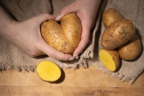 A CloseUp View of Fresh Potatoes Held in Hands and Displayed on a Table Surface Stock Photos