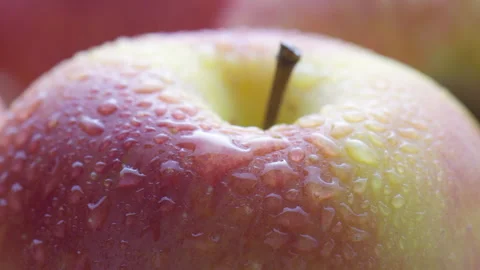 Closeup view of fresh ripe apple with drops of water Stock Footage 302909158