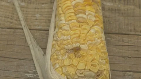 A closeup view of freshly harvested corn displayed beautifully on a rustic Stockbeeldmateriaal 283283450