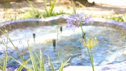 Closeup View of a Garden Fountain in a Sunny Day - Still Stock Footage