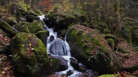 Closeup view of the Gertelbach waterfall sorrounded of mossy stones, Black Fo Stock Footage 143290099