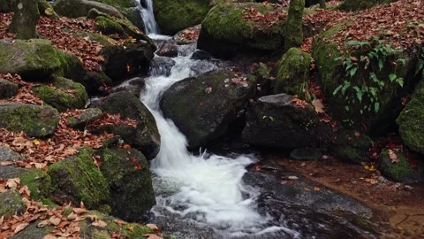 Closeup view of the Gertelbach waterfall sorrounded of mossy stones, Black Fo Stock Footage 143291357
