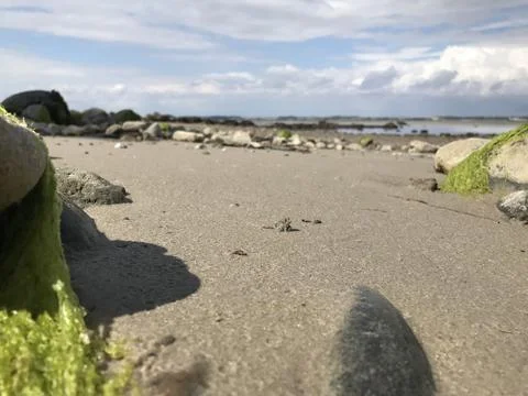 Closeup view of ground level perspective of sea sandy morph with rocky seaside a Stock Photos