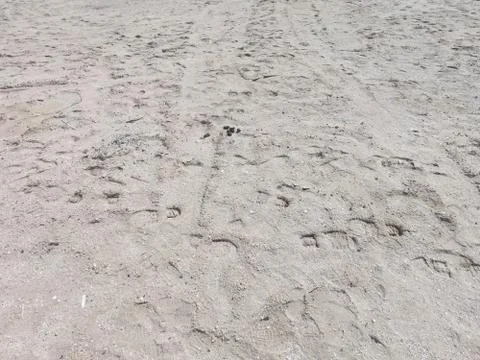 Closeup View of Ground Texture Consisting of Gray Sand with foot prints. Grou Stock Photos