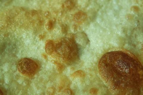 Closeup view of hand made plain bread in oil called paratha roti. Stock Photos