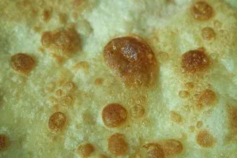 Closeup view of hand made plain bread in oil called paratha roti. Stock Photos