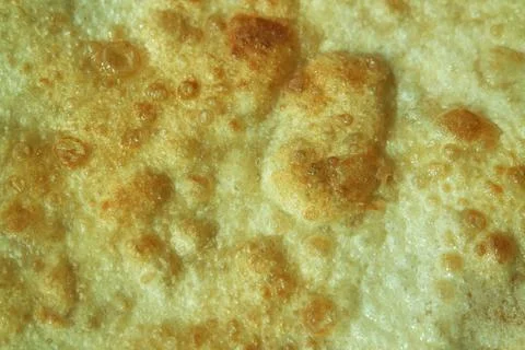 Closeup view of hand made plain bread in oil called paratha roti. Stock Photos
