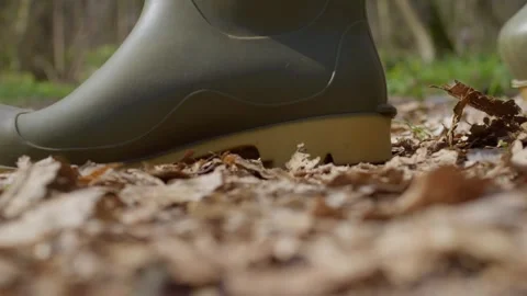 A CloseUp View of a Hiking Boot Resting on a Leafy Forest Floor Surrounded by Stock Footage 306318659