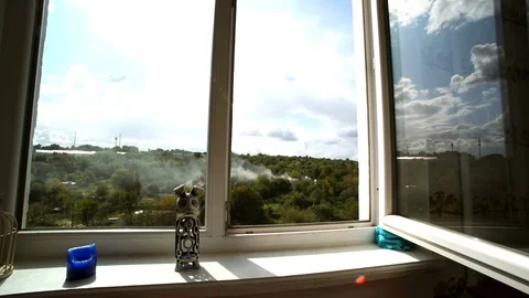 Closeup view of home window with beautiful sunny summer green nature on backgrou Видео 117408988