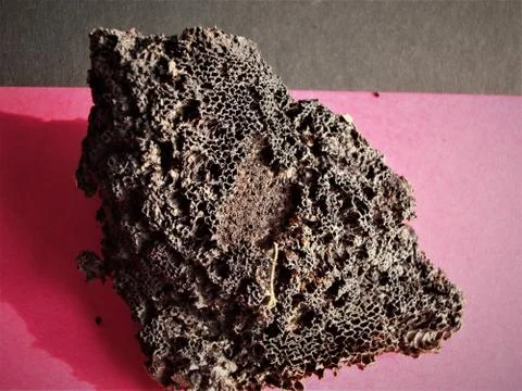 Closeup view of honey comb structure of a dead beehive, India Fotos Stock