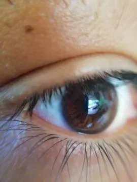 Closeup view of a human eye Stock Photos